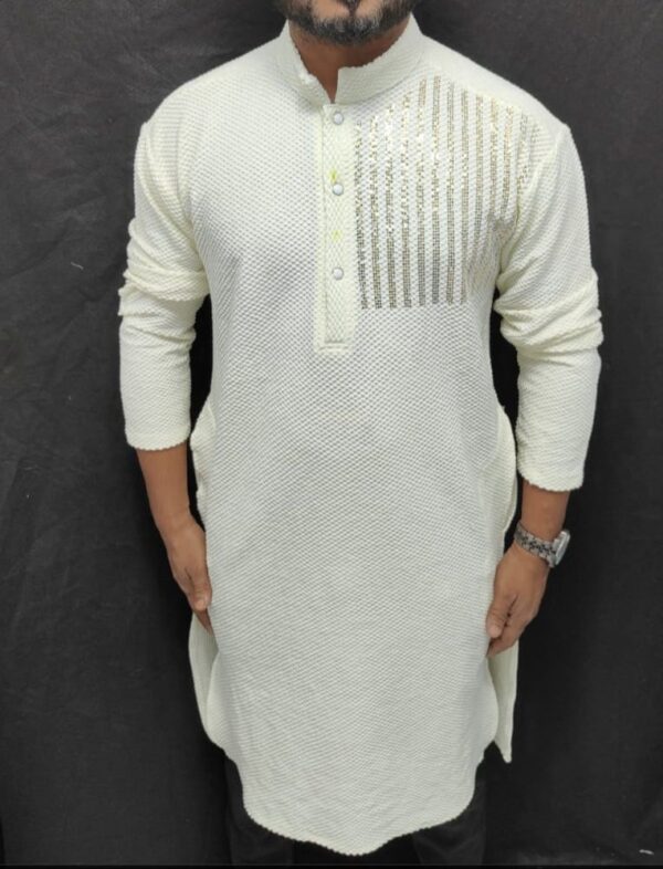 Mixed Patterns Designer Kurta - Image 3